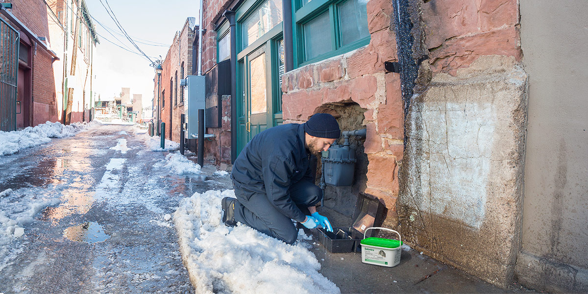 Solutions Page - Rodents