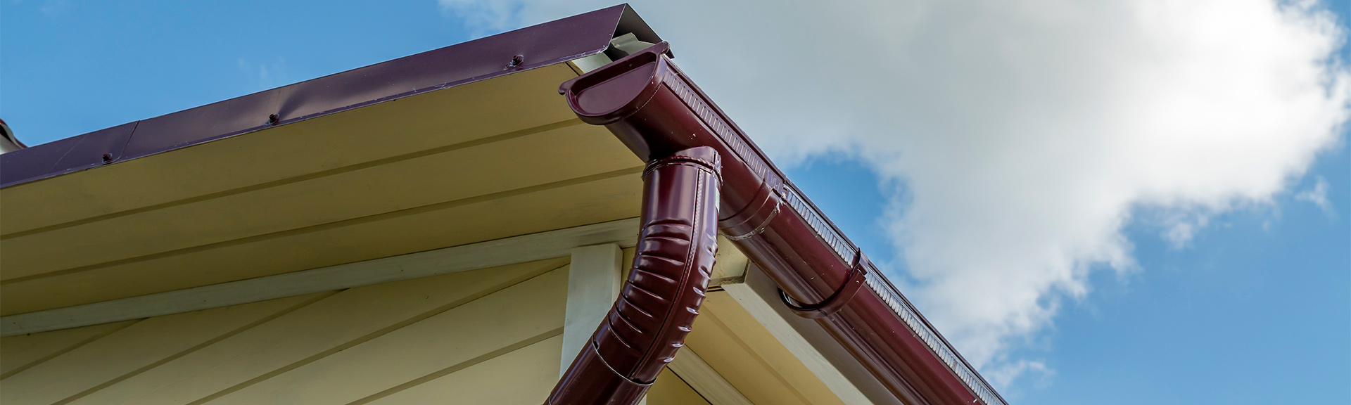 PT® WASP-FREEZE WASP & HORNET INSECTICIDE