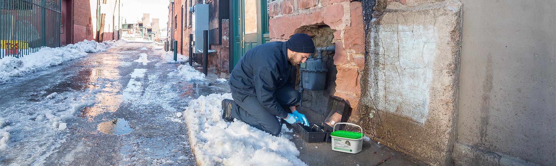 Solutions Page - Rodents